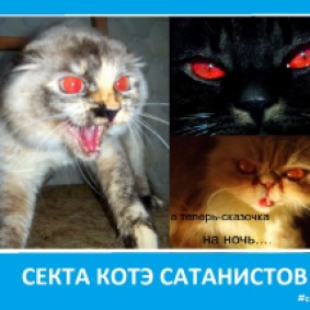 Секта котэ - сатанистов с красными глазами - Сектовасия