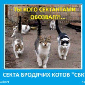 Секта СБК - Секта бродячих котов Сектовасии