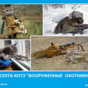 Секта котов охотников - Сектовасия