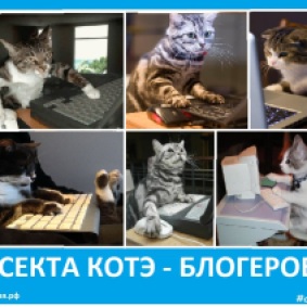 Секта котэ - блогегов - Сектовасия